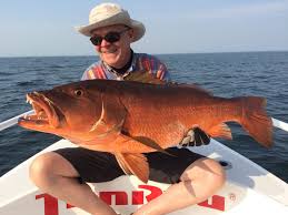 Peche